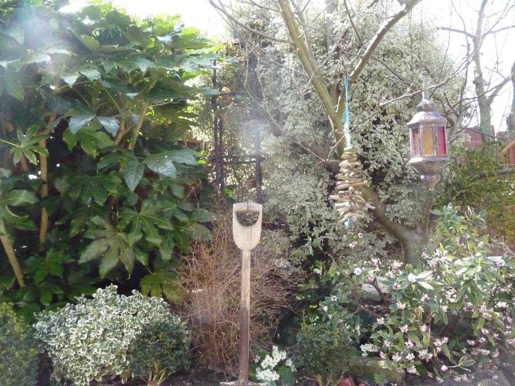 Greenwood Guest House, וויימות' מראה חיצוני תמונה
